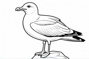 Seagull perched on rugged rock coloring page