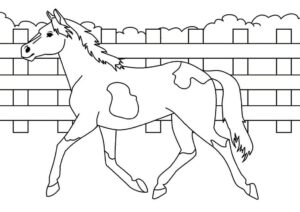 Content horse in secure stable coloring page