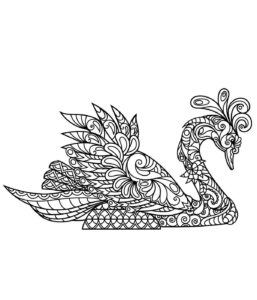 Serene swan: graceful pose on water coloring page