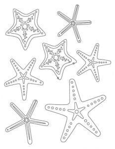 Six unique stars fill the page coloring page