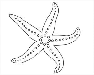 A slim starfish coloring page