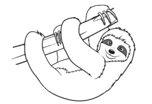 Sloth’s artistic struggle: pencil in hand coloring page