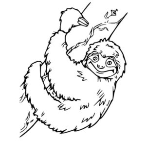 Sloth’s banana-fueled rope grip coloring page