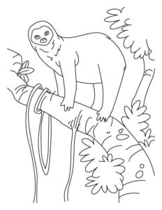 Sloth climbs rope to sun-dappled canopy coloring page