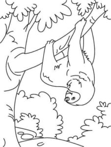 Sloth’s grip: a forest symphony coloring page