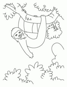 Sloth hanging: lazy life in the trees coloring page