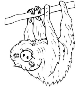 Sloth hanging upside down: a relaxing pose coloring page