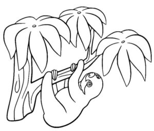 Sloth rests on tree coloring page