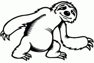 Sloth’s sadness: a heartbreaking sight coloring page