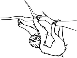 Sloth silhouette: hanging limply in the sky coloring page