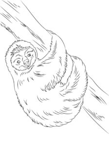 Sloth smiles at distant horizon coloring page