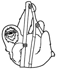 Sloth smiles: hanging loose in the breeze coloring page