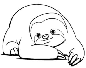 Sloth smiles: playful eyes & fuzzy claws coloring page