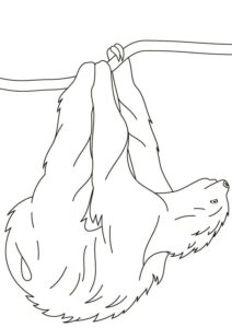 Sloth swings gracefully on rope coloring page