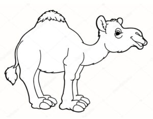 Smiling camel rocks desert style coloring page