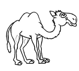 Smiling camel rocks desert style coloring page