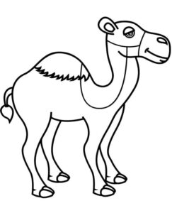 Smiling camel walks desert dunes coloring page