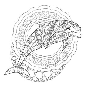 Smiling dolphin swims in circles coloring page