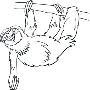 Smiling sloth in the canopy coloring page coloring page