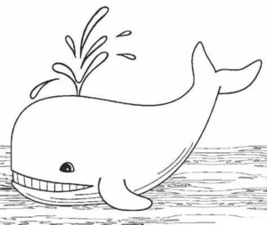 Smiling whale splashes with one eye coloring page