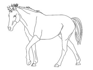 Solitary horse against vast expanse coloring page