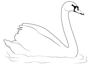 Solitary swan’s graceful water dance coloring page