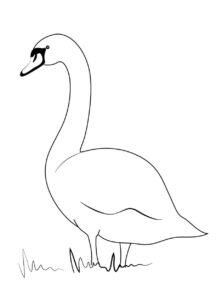 Solitary swan contemplates on snowy landscape coloring page