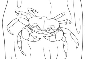 Spider crab’s piercing gaze: silent threat coloring page