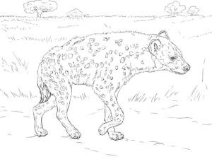 Spotted hyena on dirt road with grass coloring page