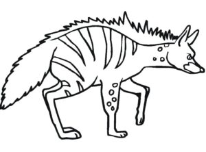 Spotted hyena stands on hind legs coloring page