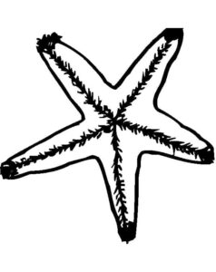 Starfish coloring for kids coloring page