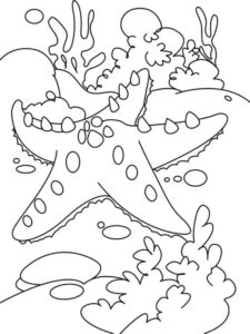 A starfish on ocean floor coloring page