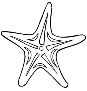 Star’s bright shine: a celestial wonder coloring page