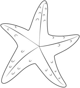 Star’s bright shine: a celestial wonder coloring page