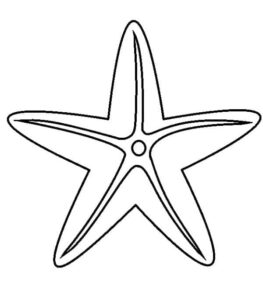 Star’s bright shine: a celestial wonder coloring page