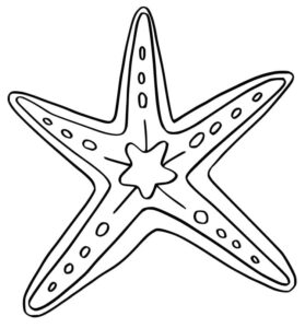 Star’s bright shine: a celestial wonder coloring page