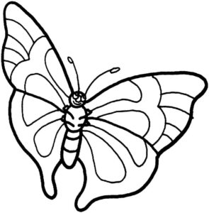 Stunning butterfly with long wings coloring page