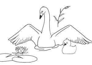 Swan, cygnet, swan, and water lily coloring page