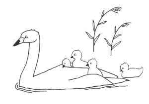 Swan family enjoys peaceful day on water coloring page