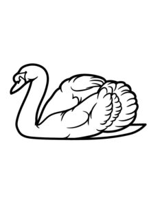 Swan’s graceful arc against white coloring page