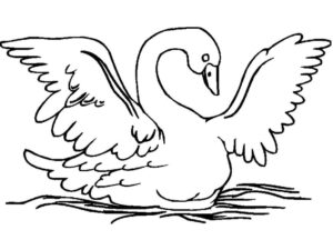 Swan’s graceful pose on straw bed coloring page