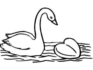 Swan’s serene gaze on floating heart coloring page