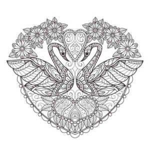 Swans’ love dance: elegance & entwined necks coloring page