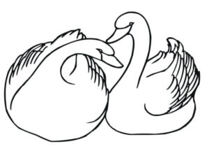 Swans’ love: a moment of shared peace coloring page