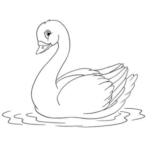 Swan’s serene smile: a watery reflection coloring page