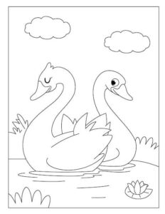 Swans share tranquil pond: a peaceful scene coloring page