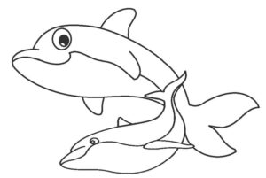 Two dolphins: lovely friends coloring page