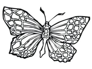 Upside-down butterfly: wings spread wide coloring page