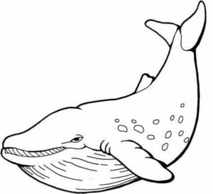 Whale breaching: tiny dots on giant body coloring page