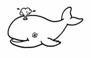 Whale explodes: shocking ocean footage coloring page